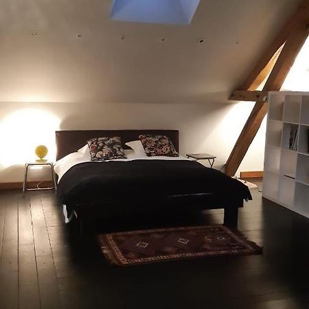 Le Loft Villa Sancergues Exterior foto